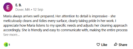 maria-the-cleaner-reviews-1