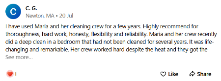 maria-the-cleaner-reviews-6